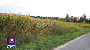 Grunt budowlany jednorodzinny na  sprzedaż Bogdaszowice - działka w sąsiedztwie nowej zabudowy