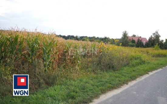 Grunt budowlany jednorodzinny na  sprzedaż Bogdaszowice - działka w sąsiedztwie nowej zabudowy